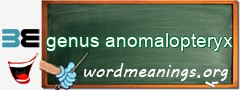 WordMeaning blackboard for genus anomalopteryx